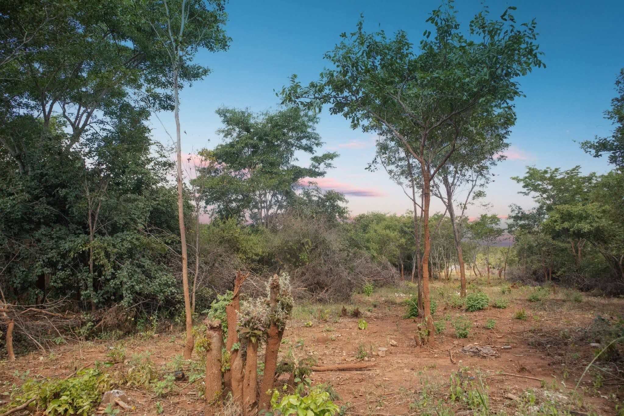 Prime 4,000 sqm Land for Sale Off Tokyo Way — image 3