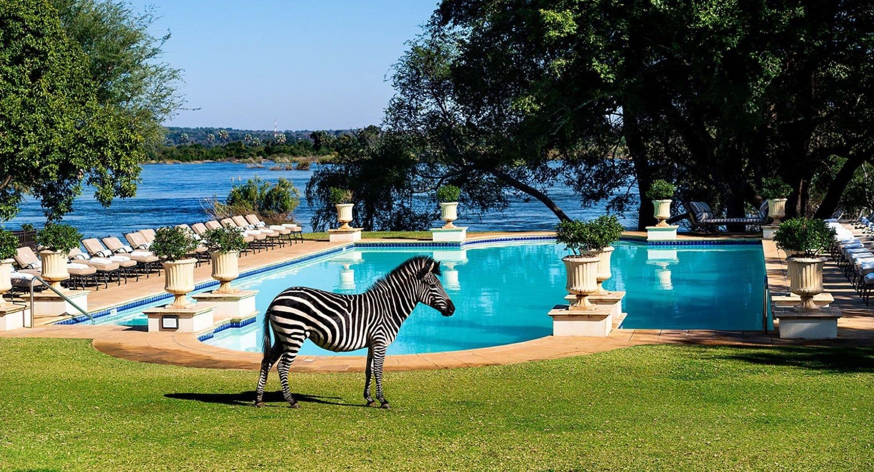 Livingstone