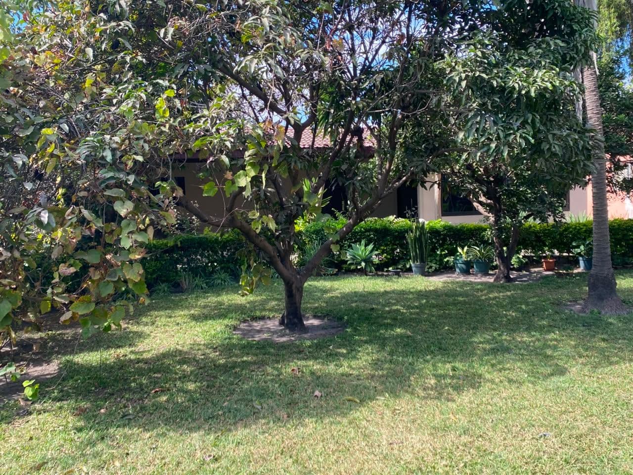 Prime 3-Acre Commercial Land for Sale in Makeni Near Cosmopolitan Mall — image 5