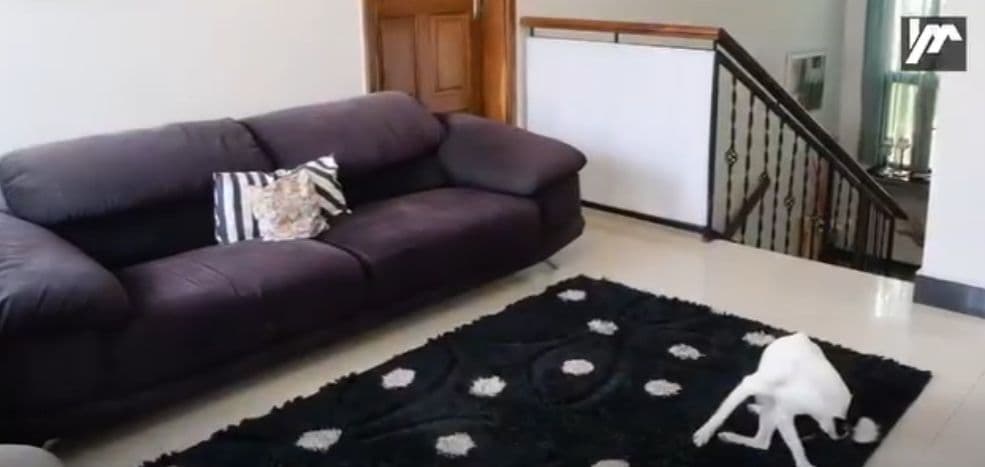 4-Bedroom Upstairs Apartment for Rent in Ibex Hill (NAPSA Complex) — image 5